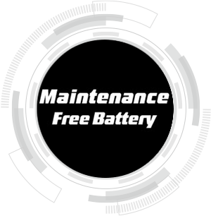 Planet Honda - Unicorn Maintenance-Free-Battery